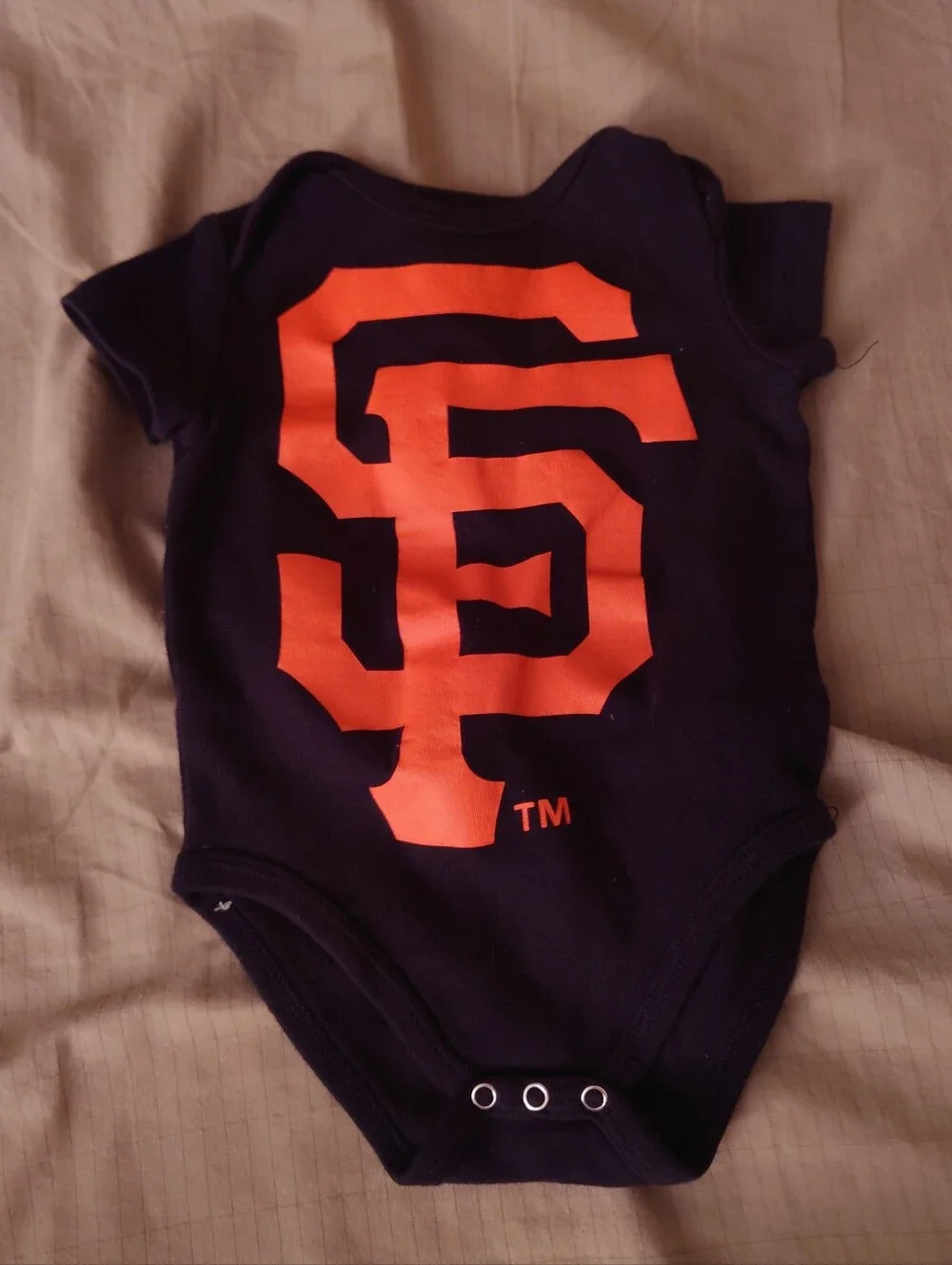 Onsies Lot 6-9 Months